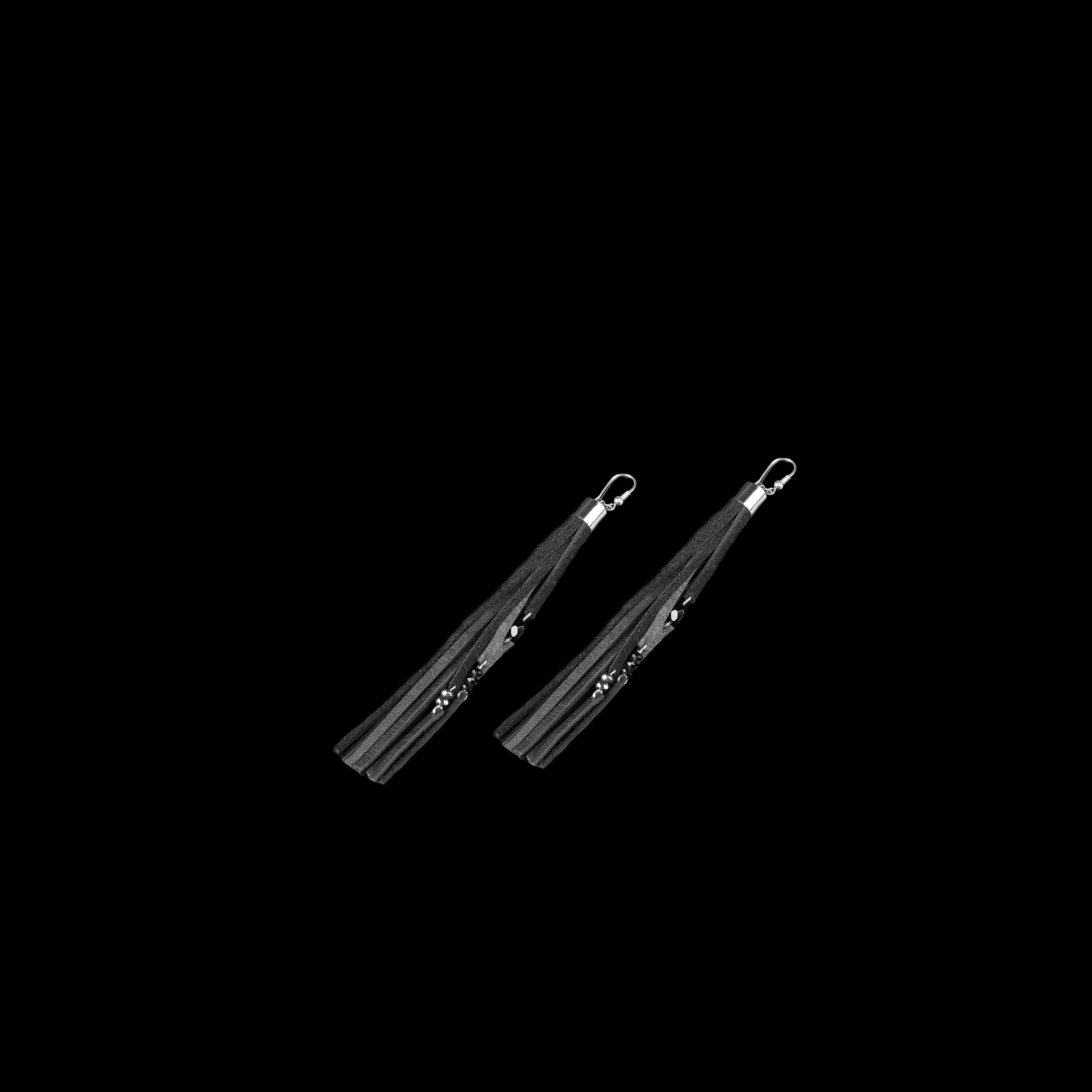 Earrings The arctic globe