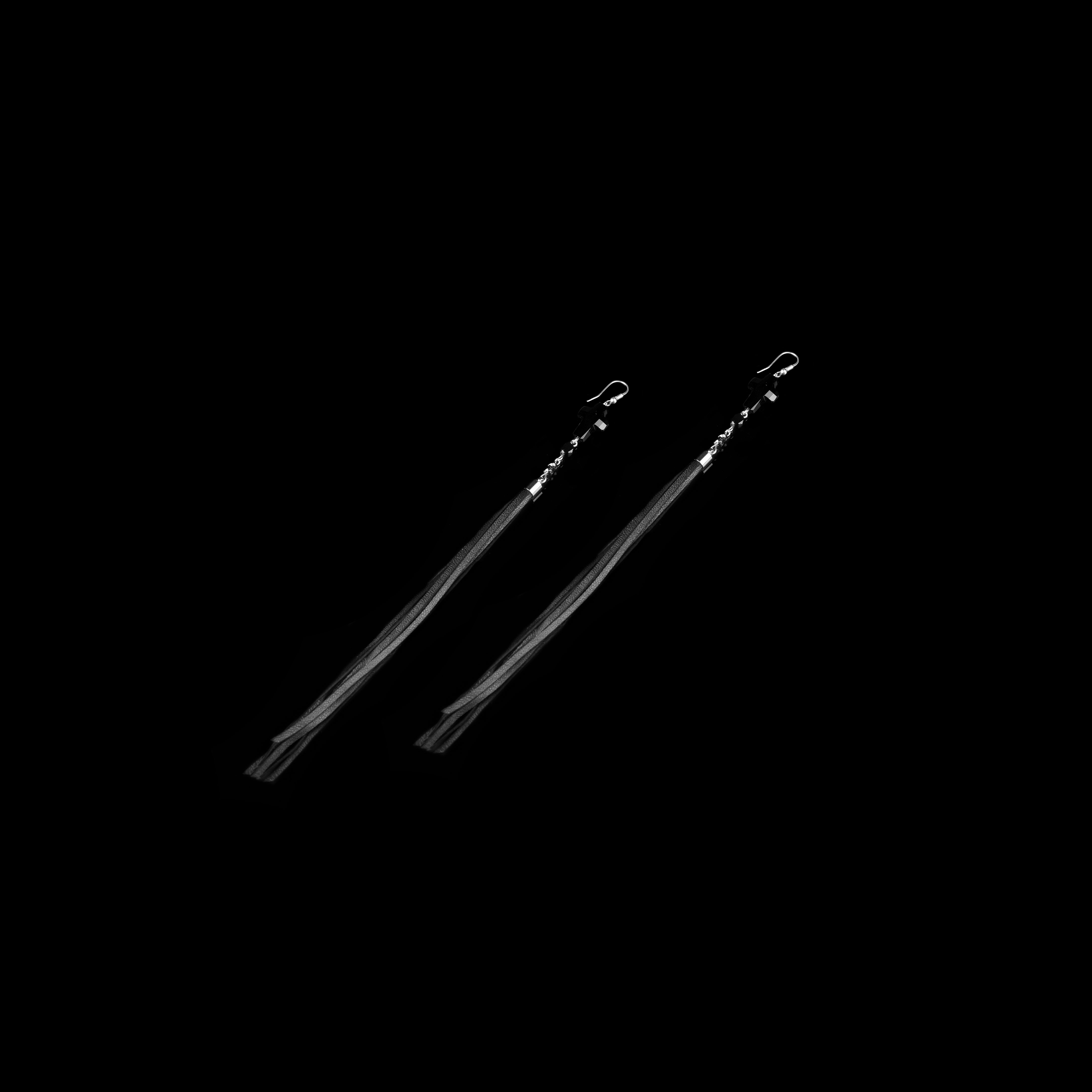 Earrings The solar wings