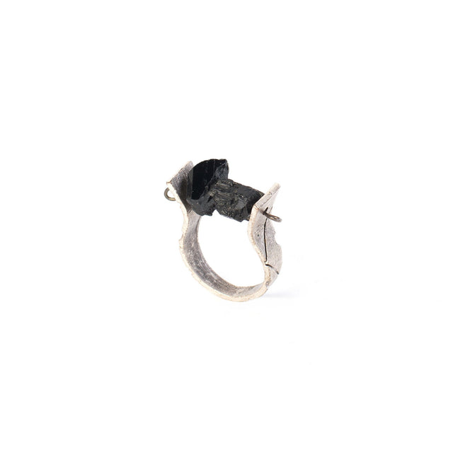 Rings The worthy seal