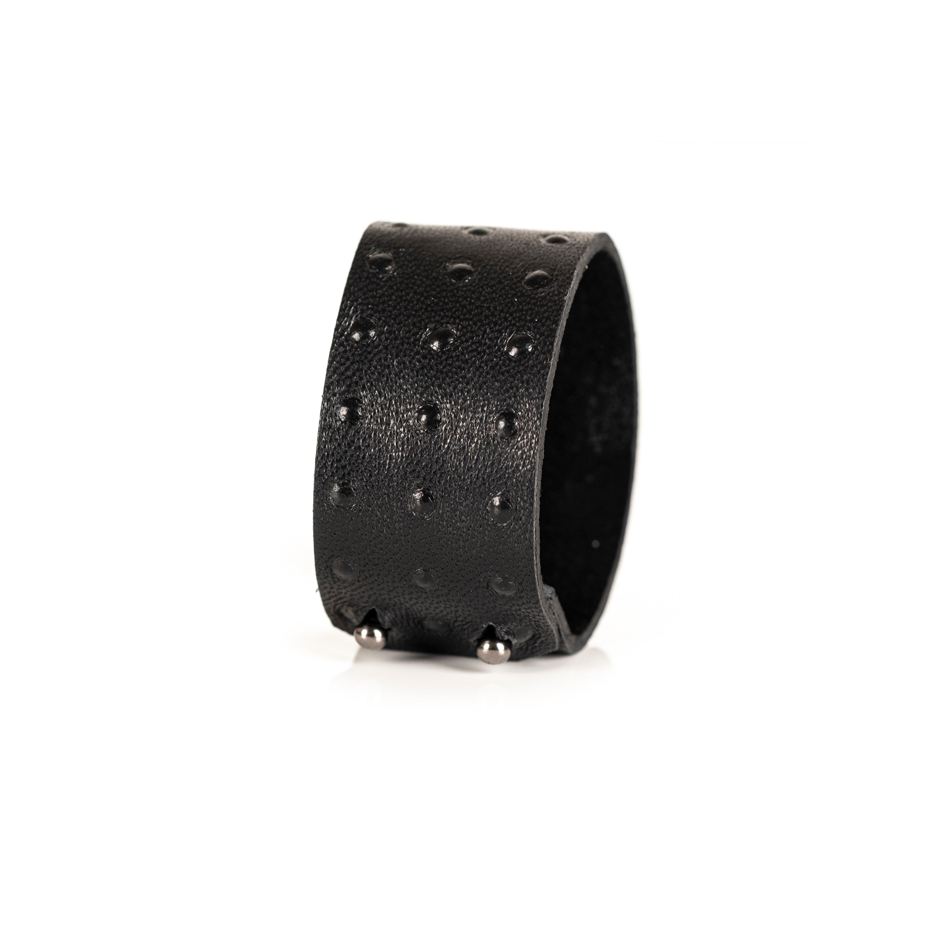 The Enlightened Swan