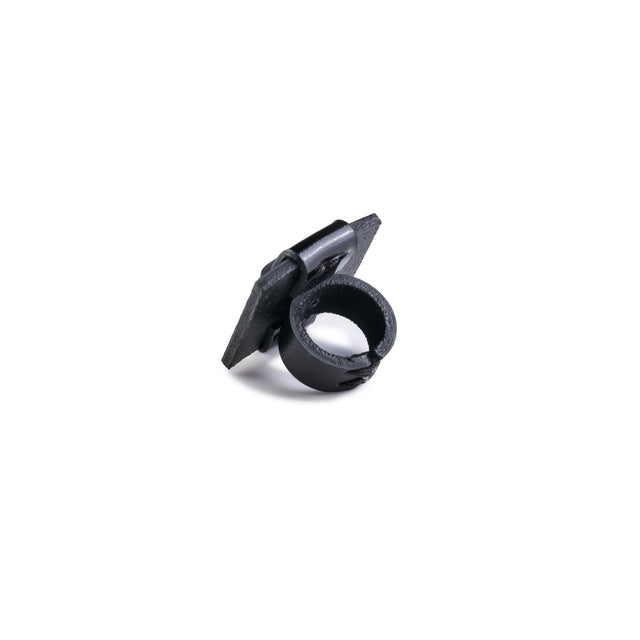 Rings The Exotic Lily