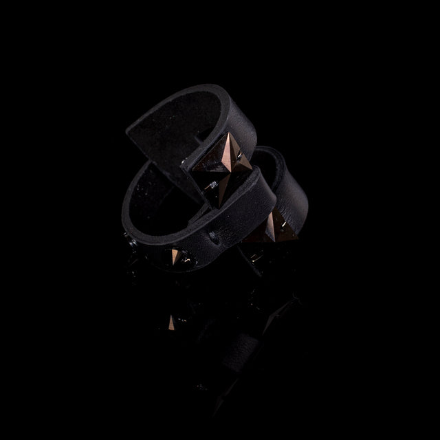 The Harmonious Beauty - THE DARK