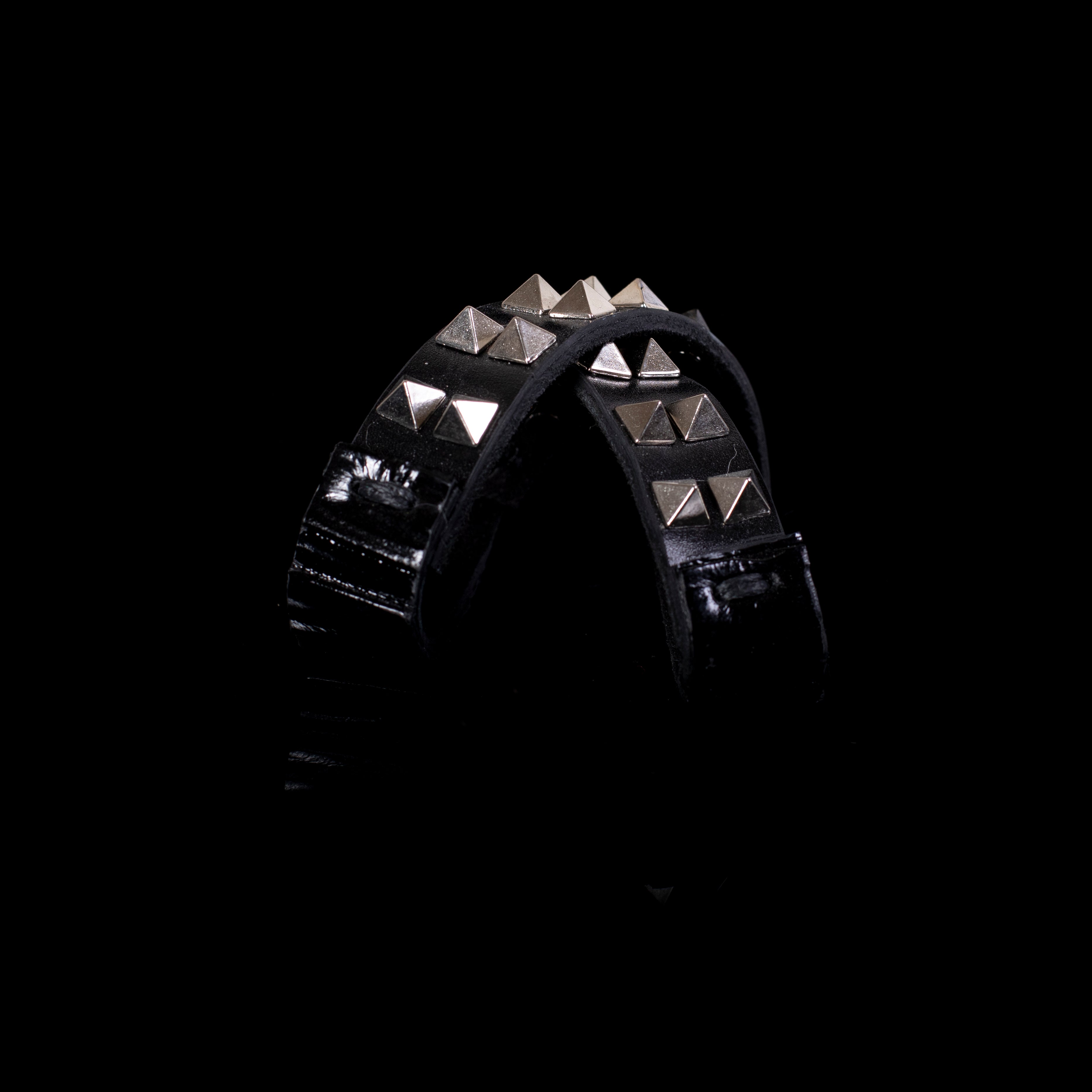 The Sinful Bond - THE DARK