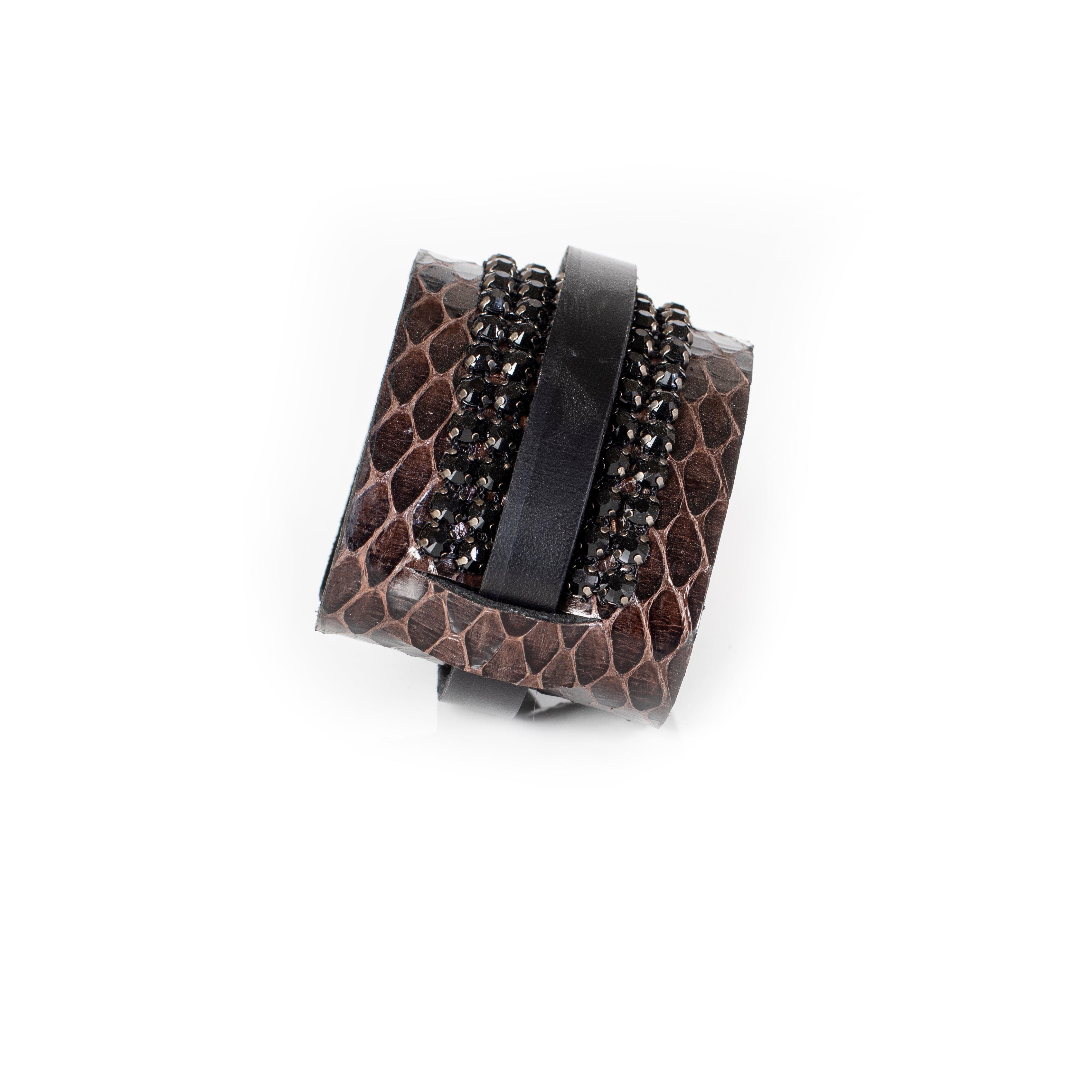 The Bright Vision - THE DARK