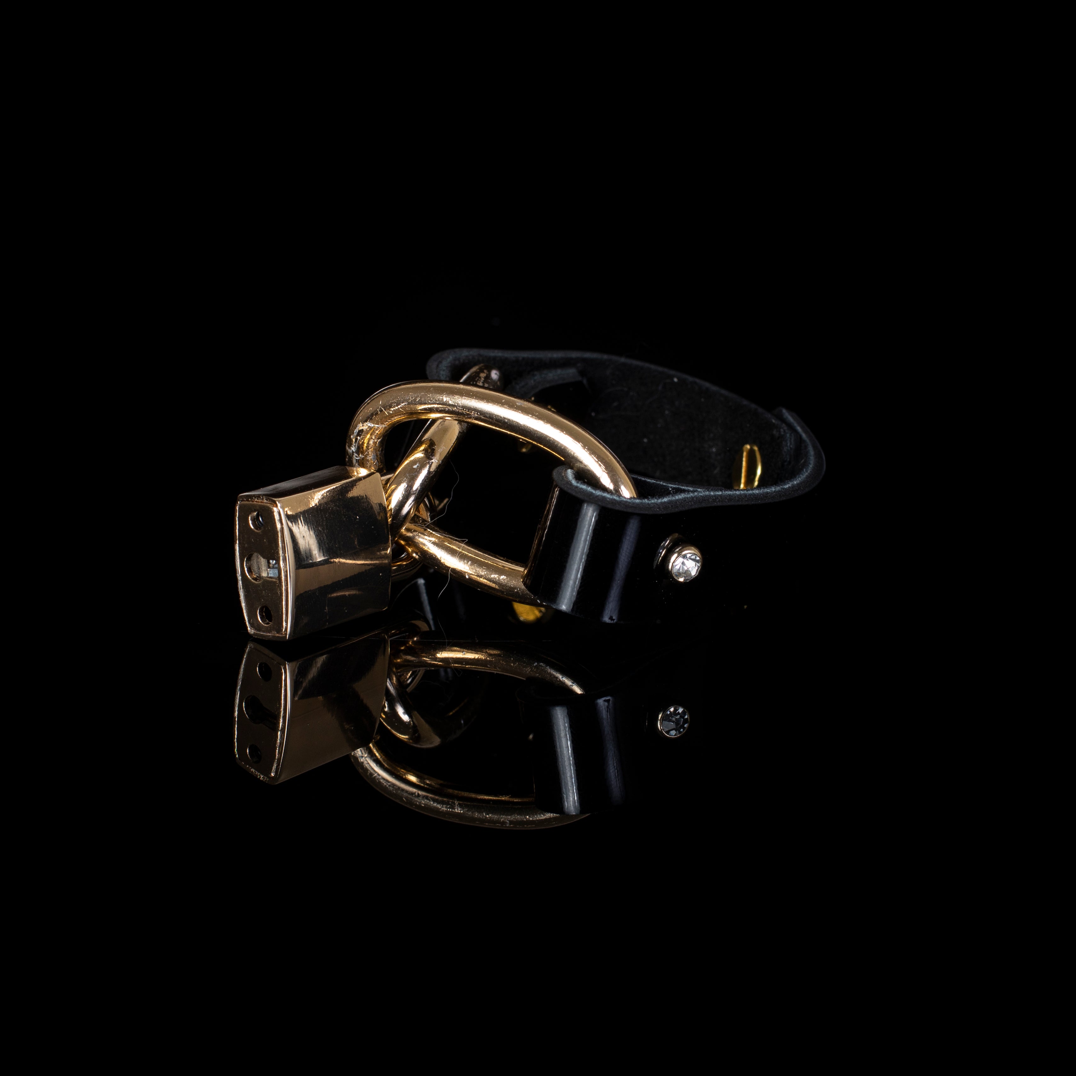 The Ocean gold - THE DARK