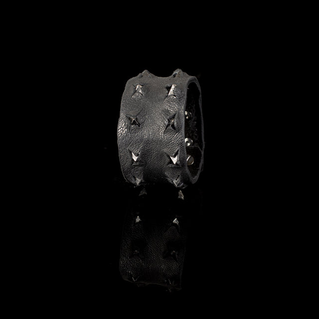 The Jade Vision - THE DARK