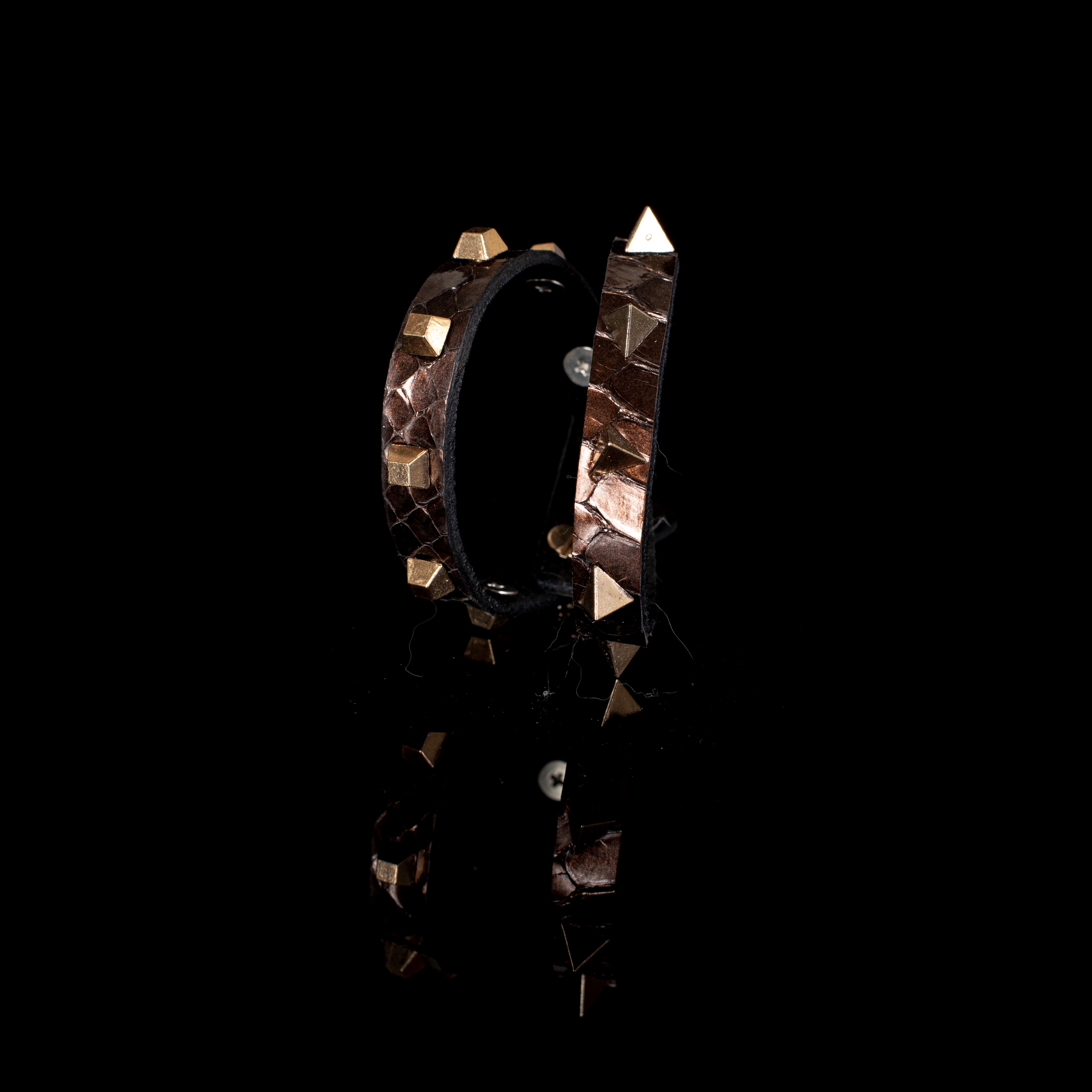 The Jasper Sun - THE DARK