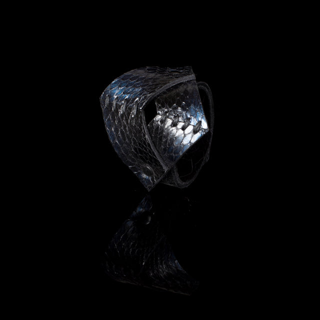 The Gifted Spiral - THE DARK