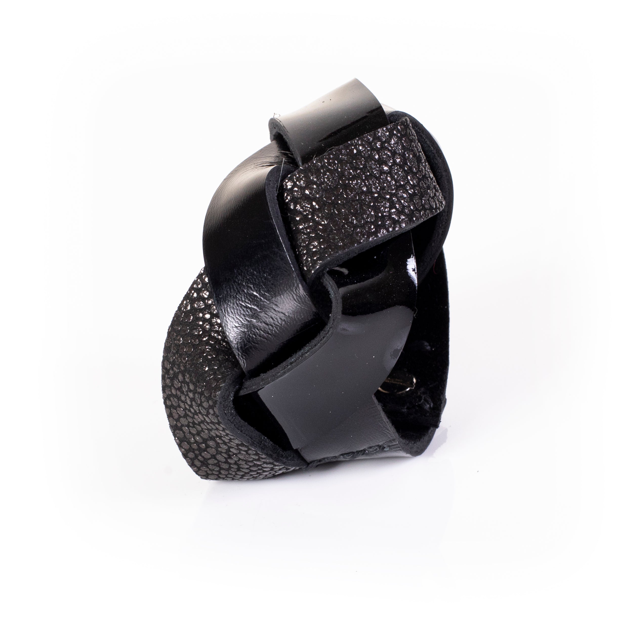 The Heavenly Swan - THE DARK