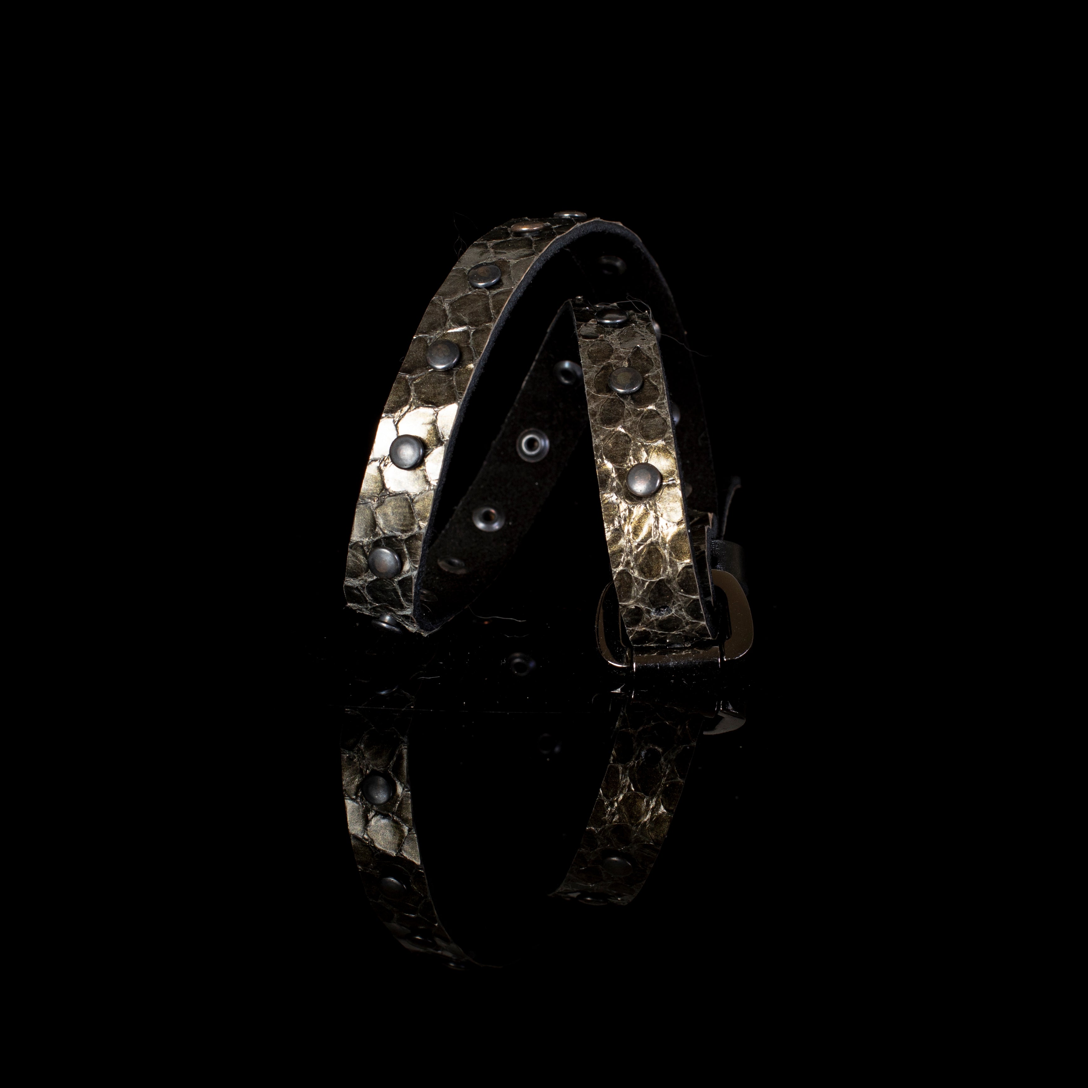 The Gentle Dewdrop - THE DARK