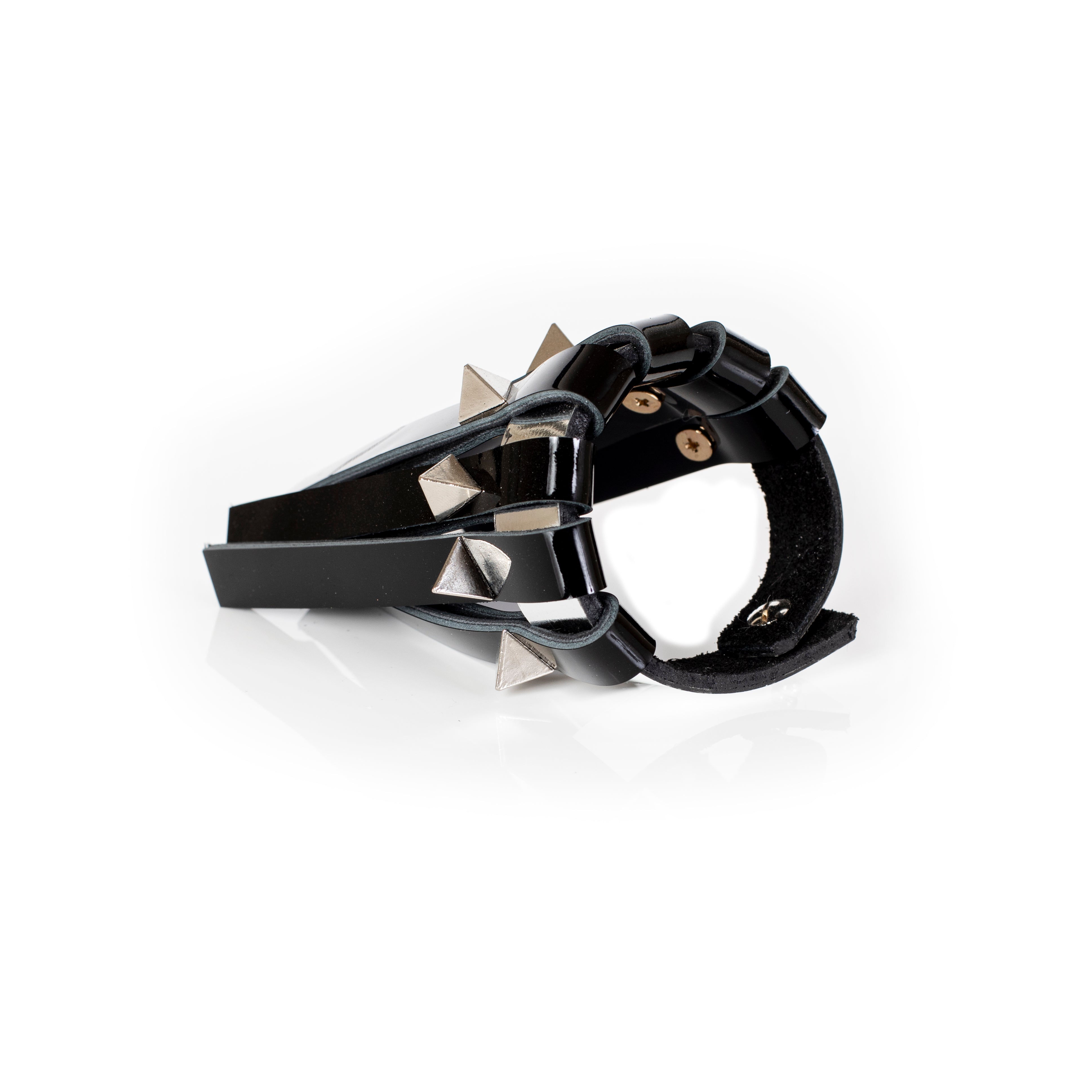 The Arctic Shield - THE DARK