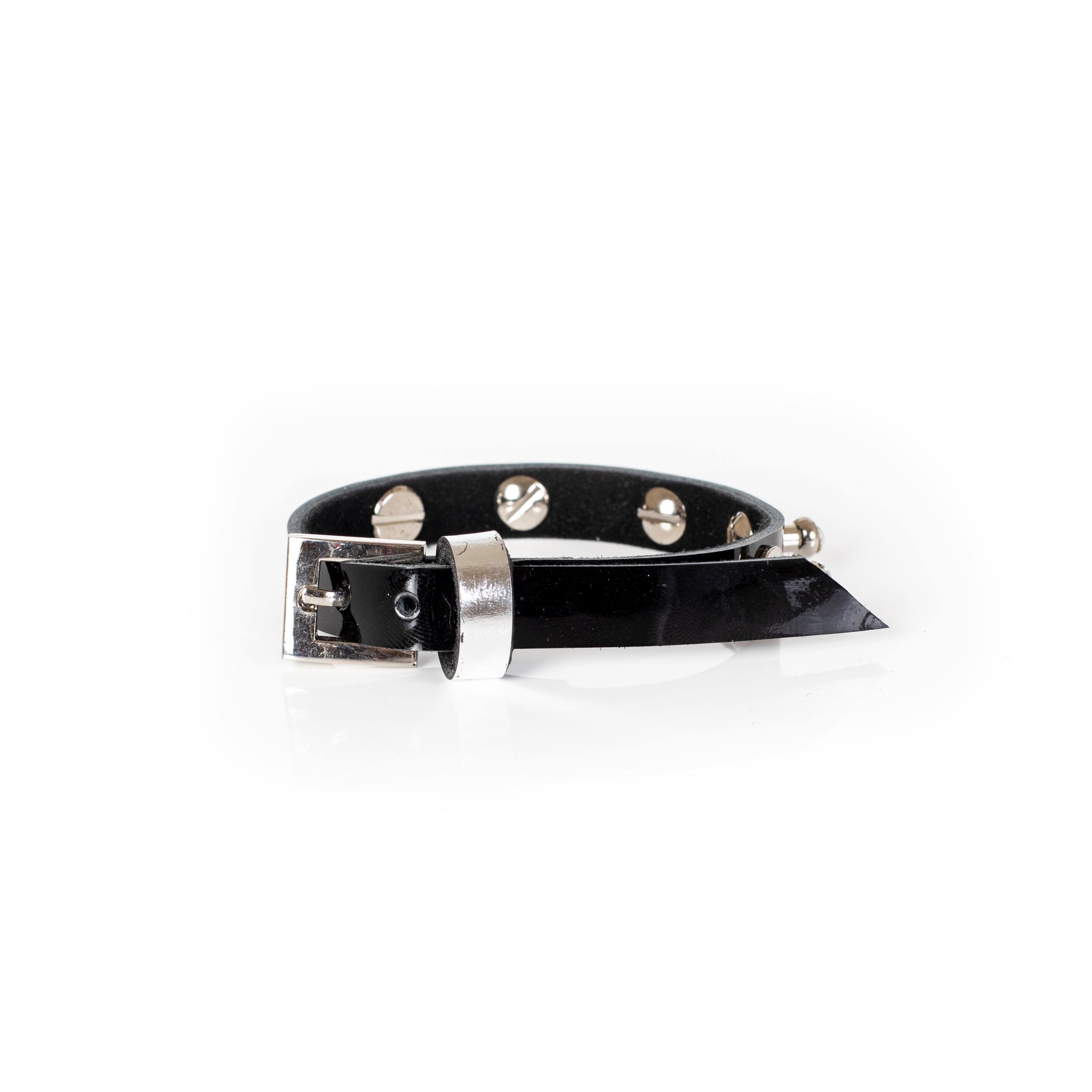 The Proud Panther - THE DARK