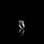 Rings The worthy moon