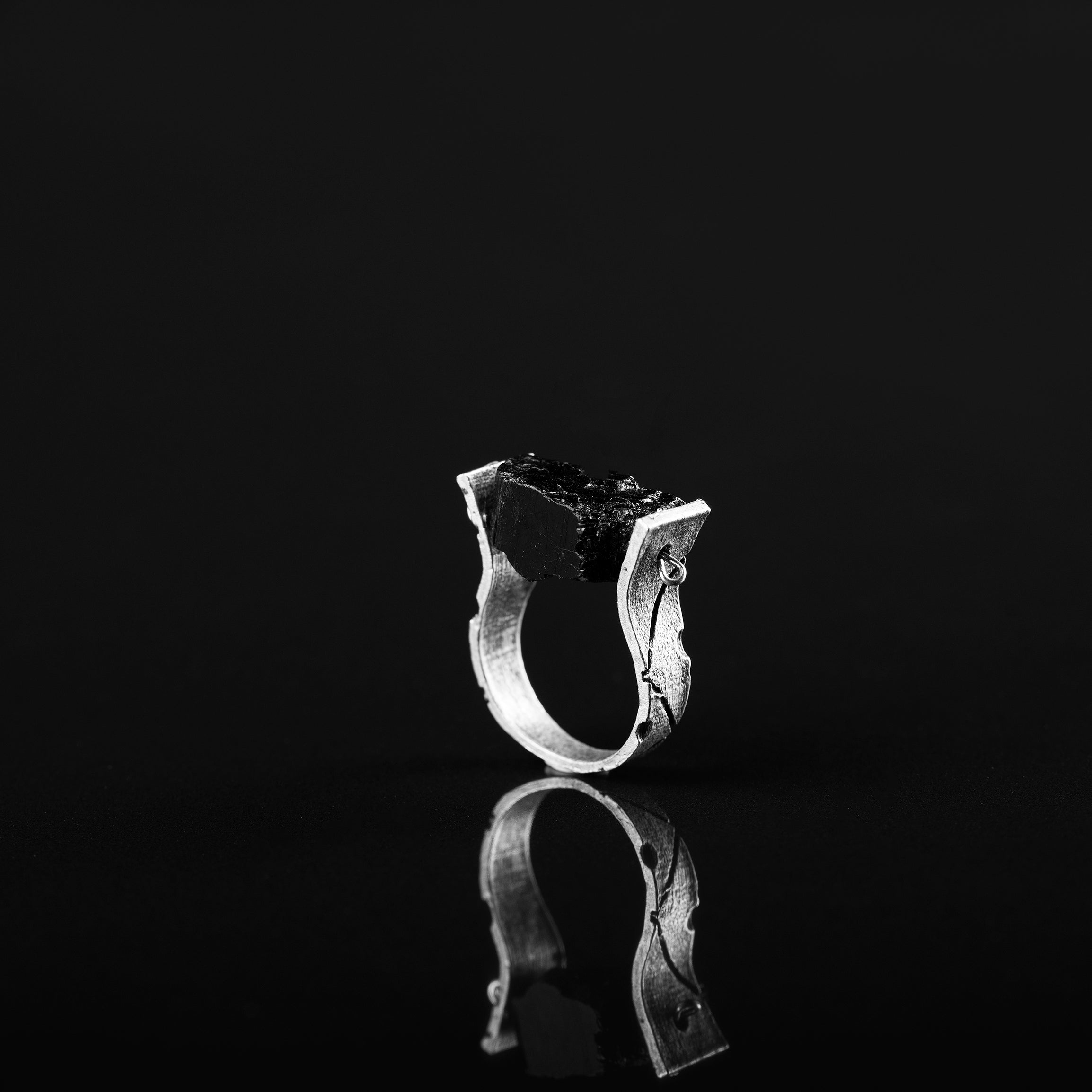 Rings The worthy seal