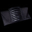 Bags The Stunning Clutch