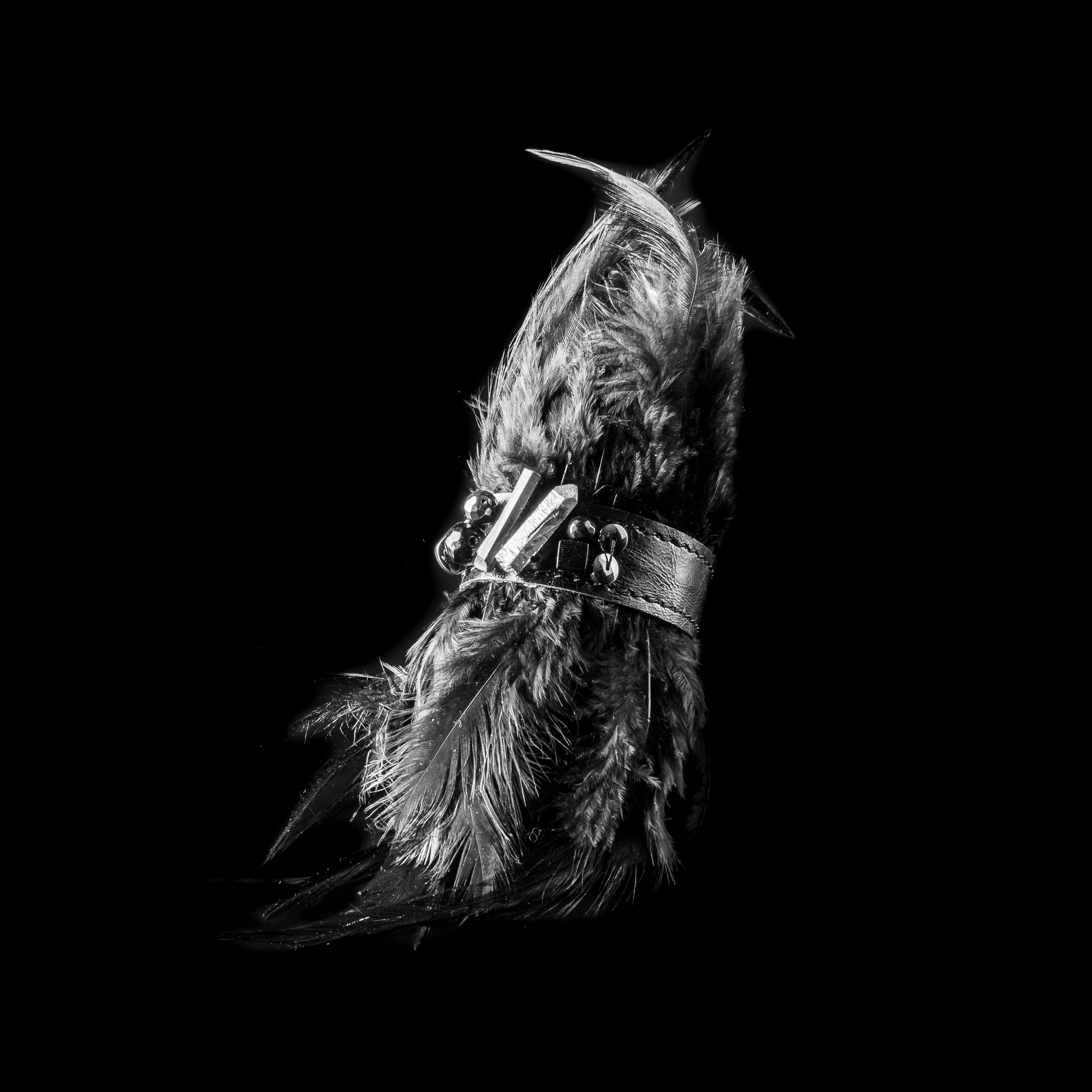 leather bracelet The coral light