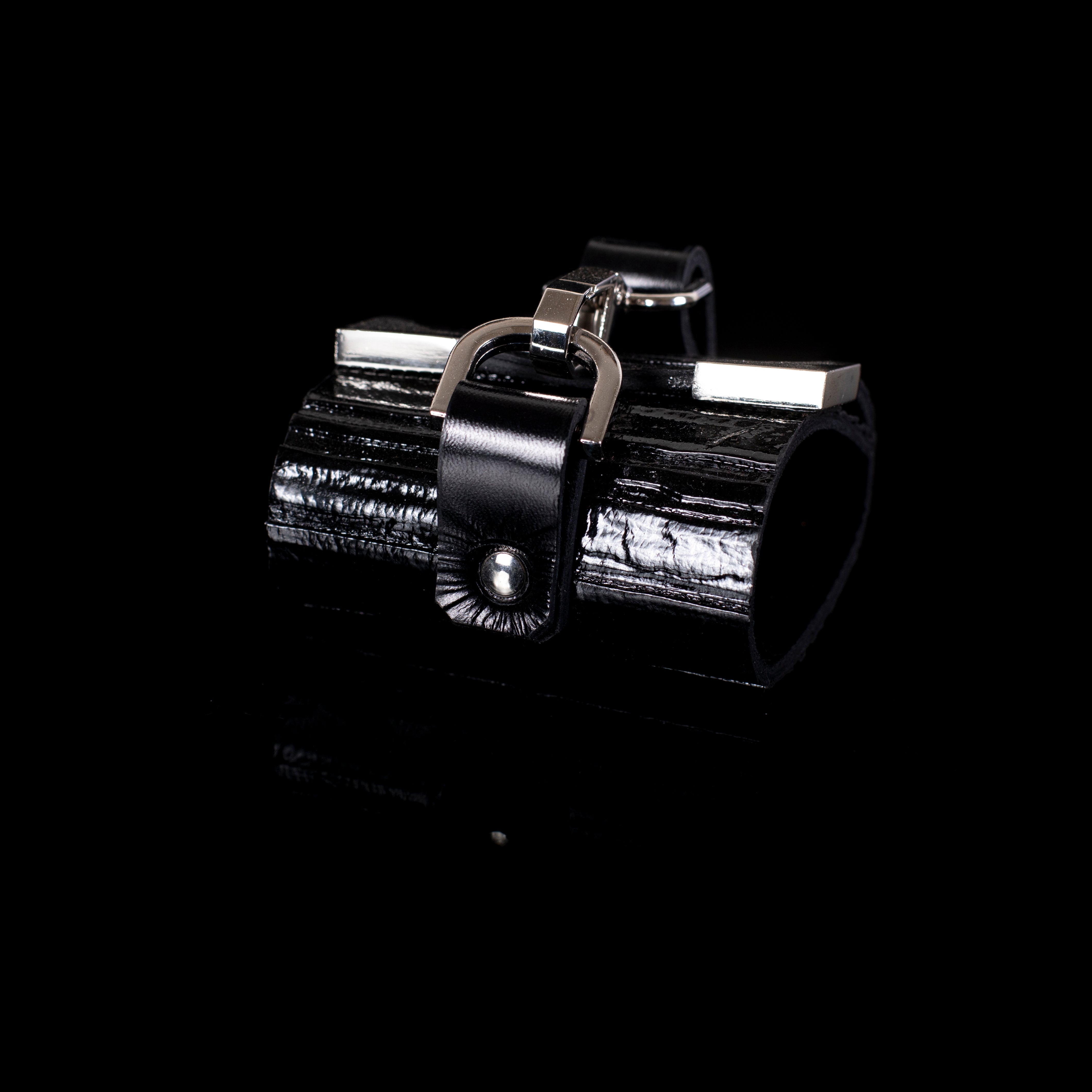 The Austere Seal - THE DARK