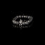 The Infinite Droplet - THE DARK