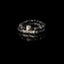 The Austere Swan - THE DARK