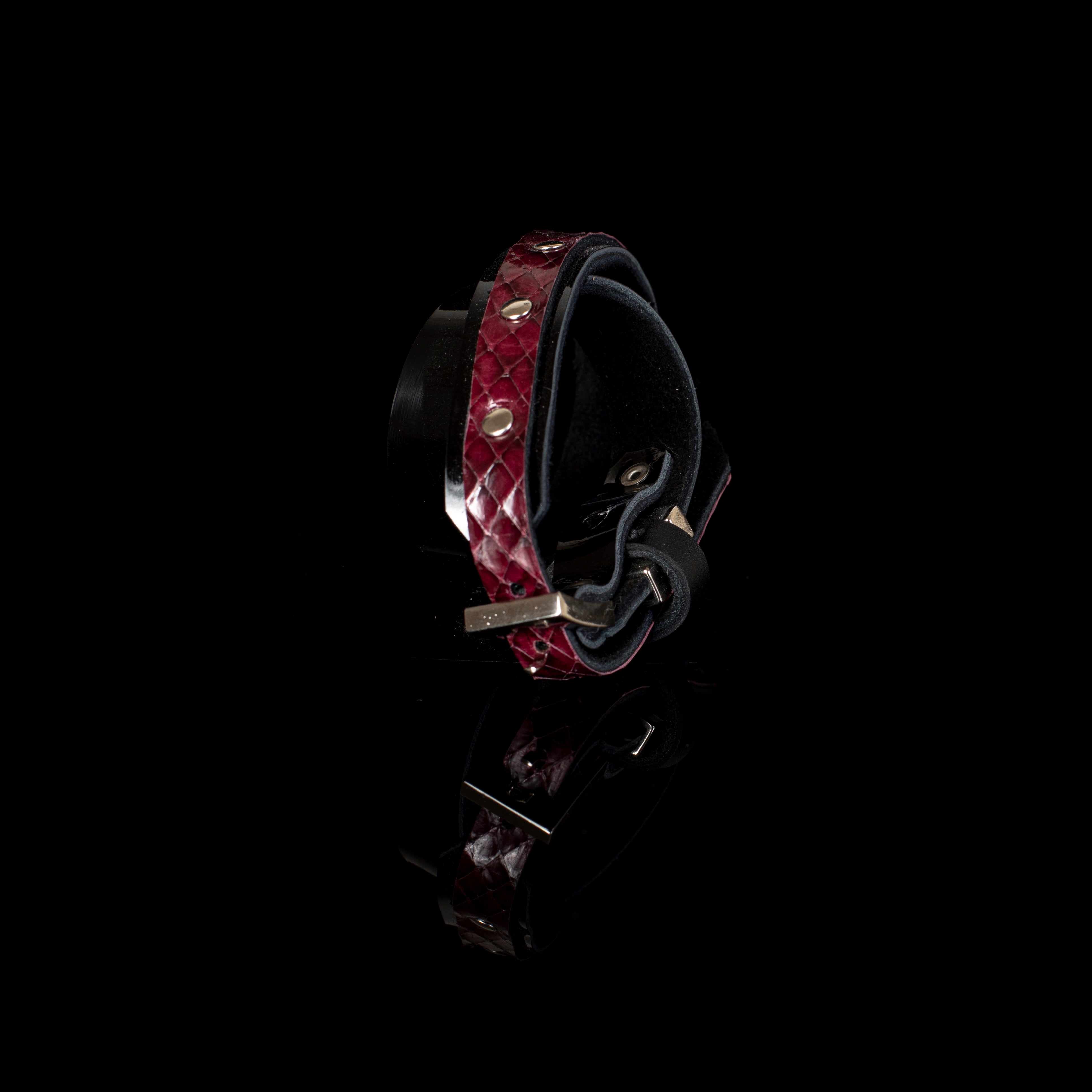 The Frozen Resolve - THE DARK