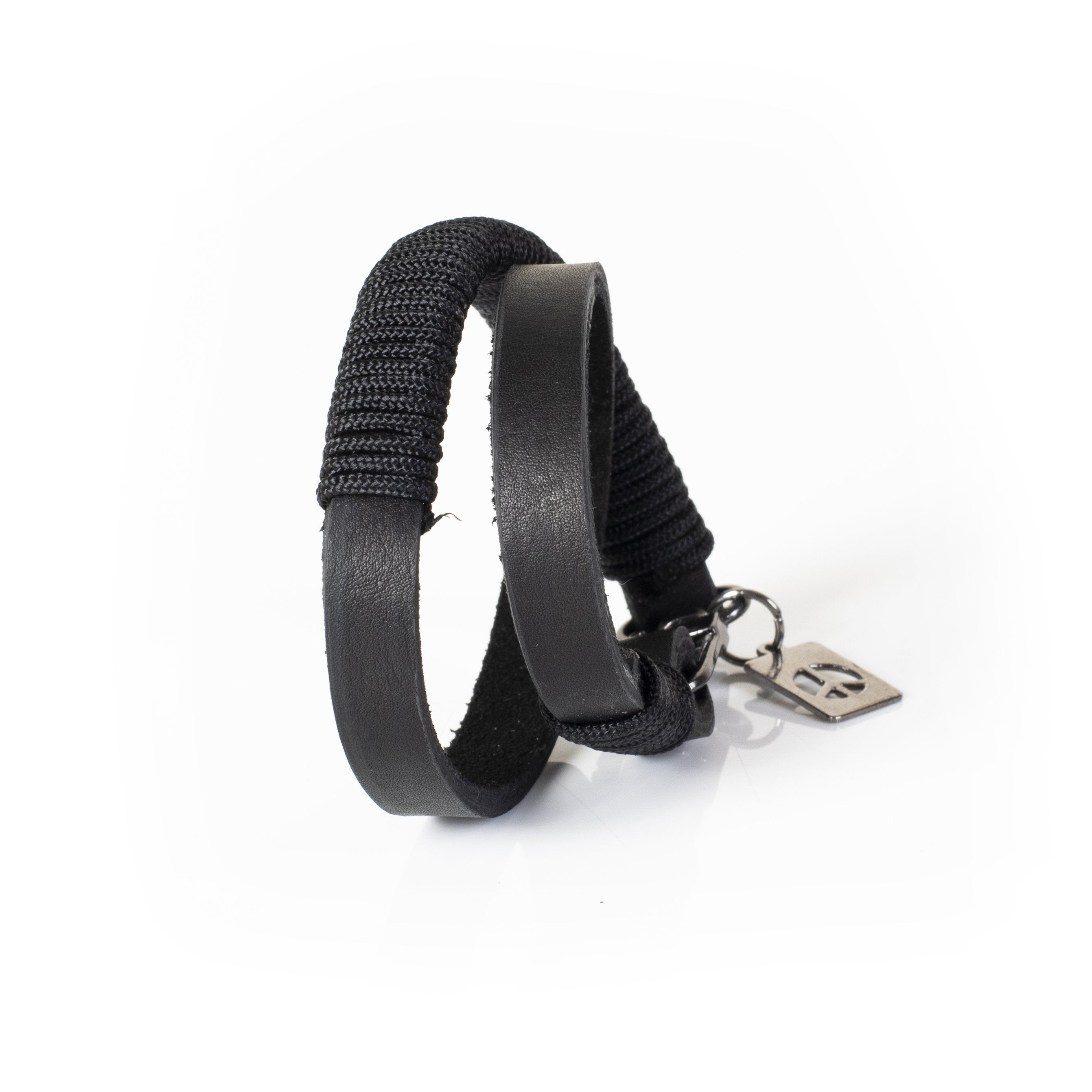 The Playful Promise - THE DARK