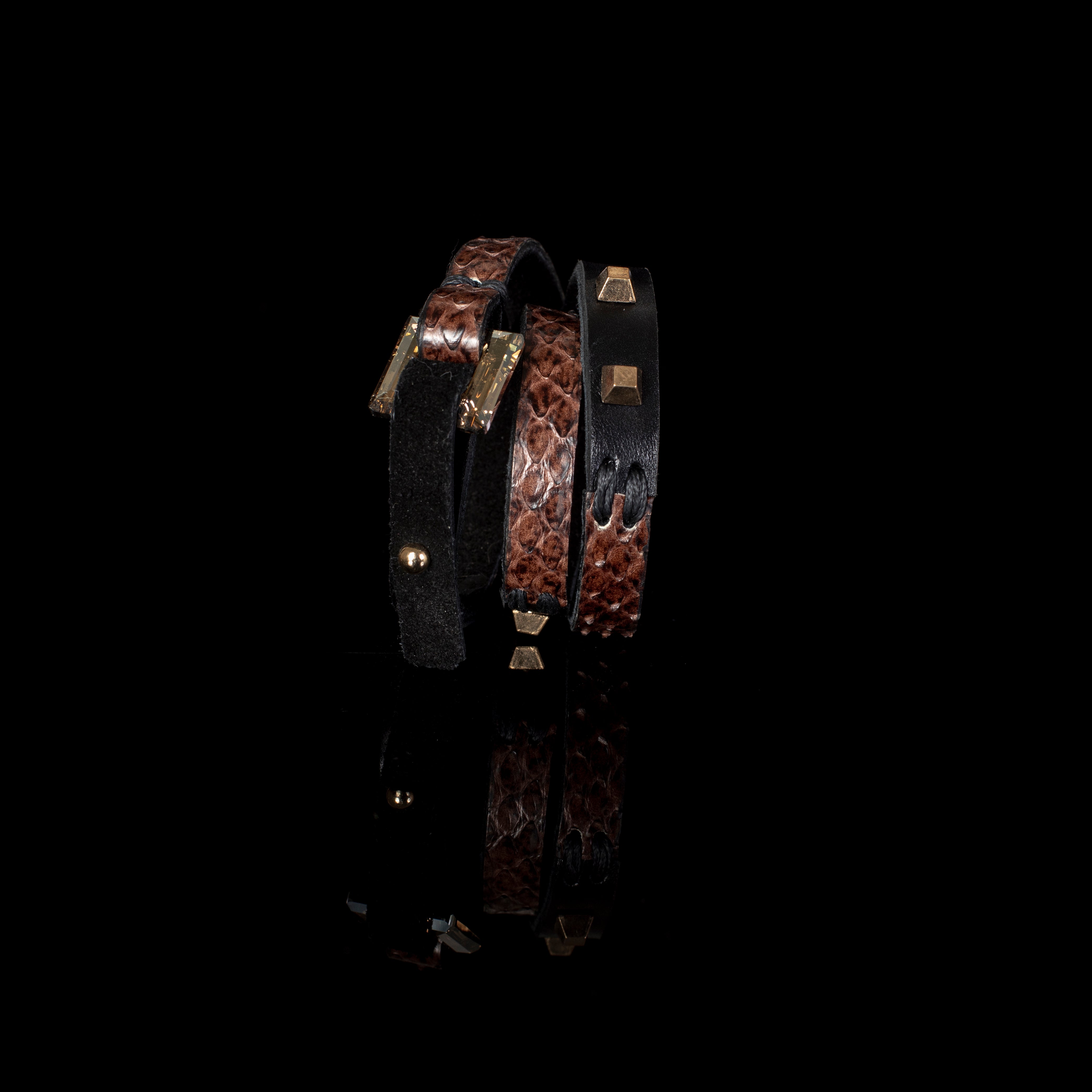 The Jasper Shield - THE DARK