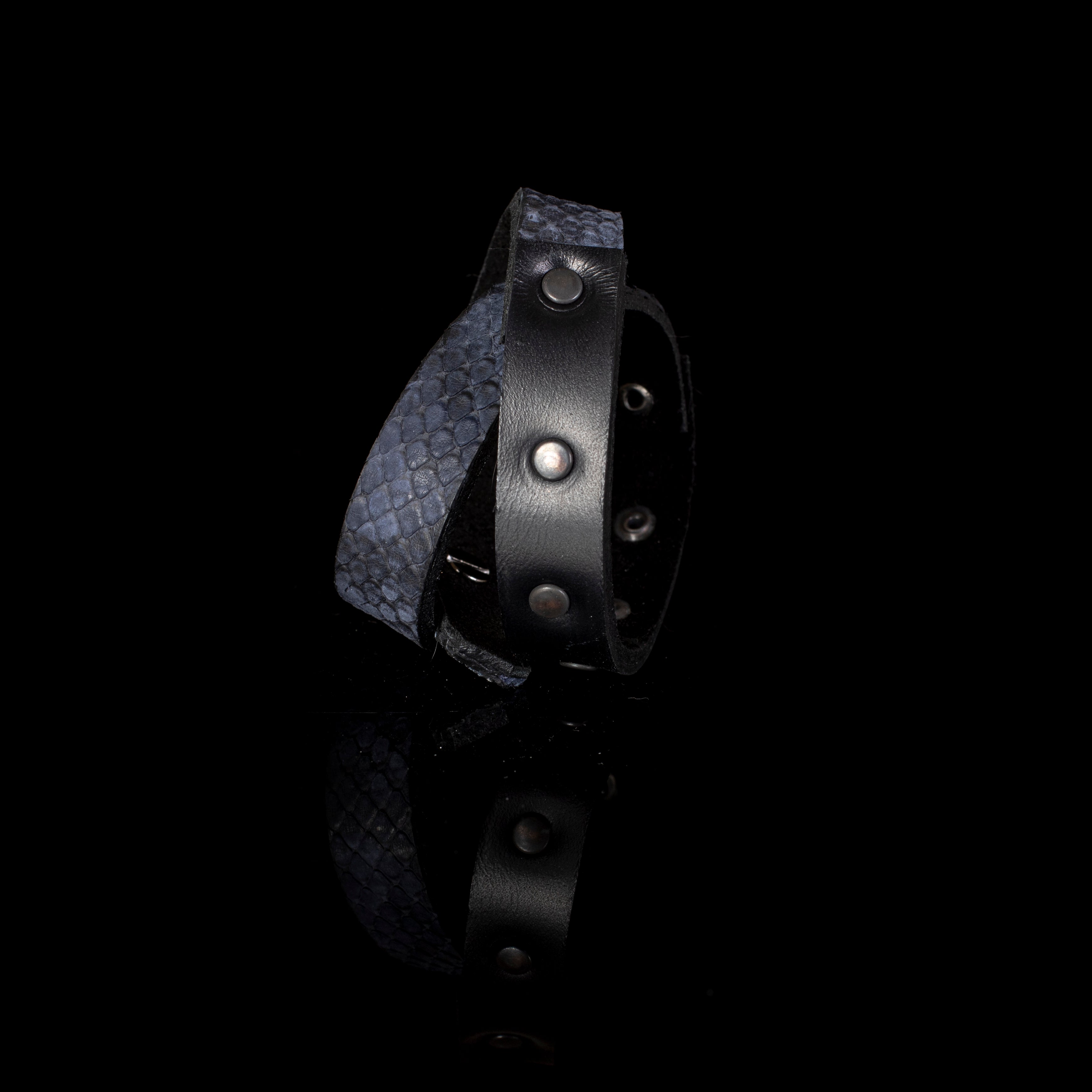 The Ruby Prospect - THE DARK