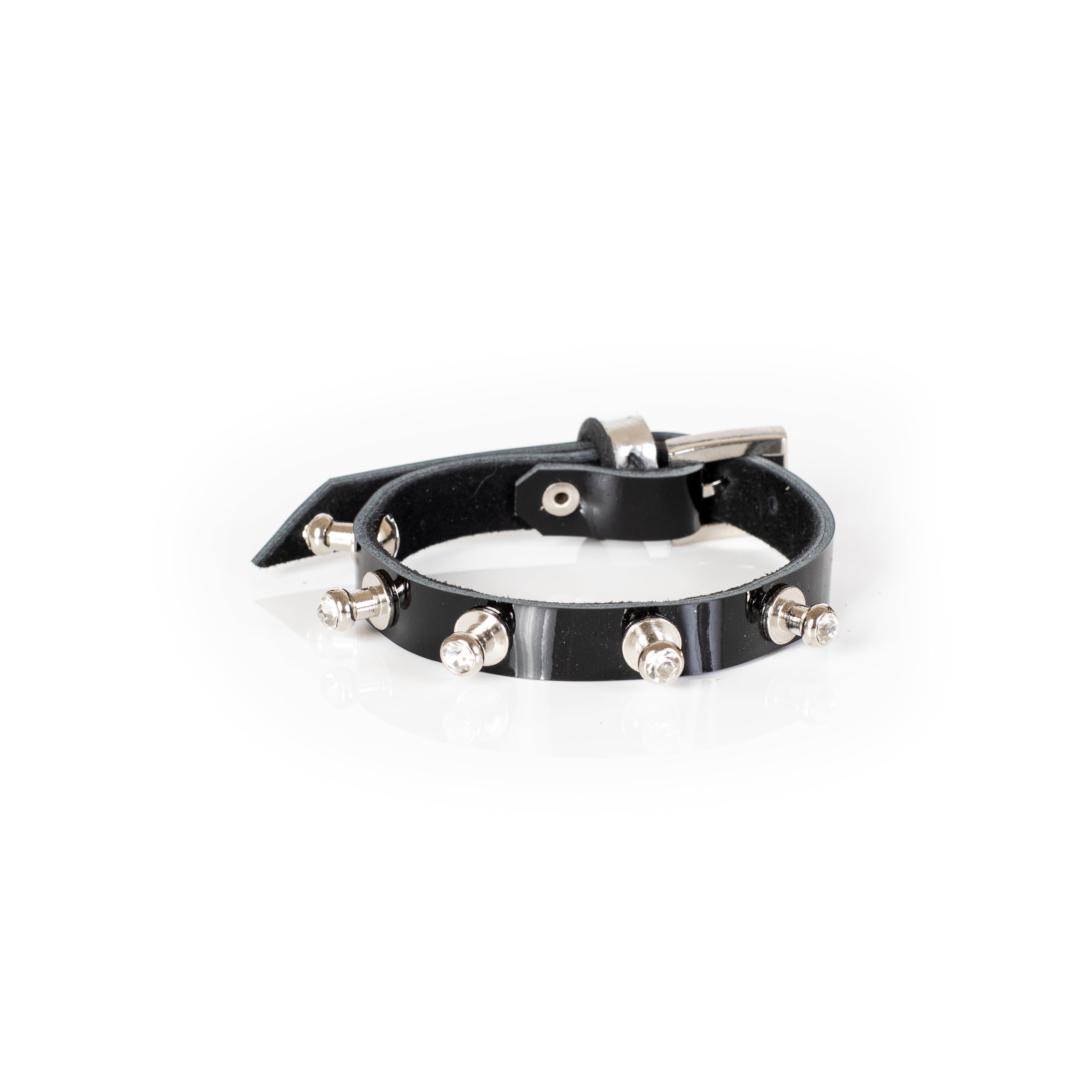 The Proud Panther - THE DARK