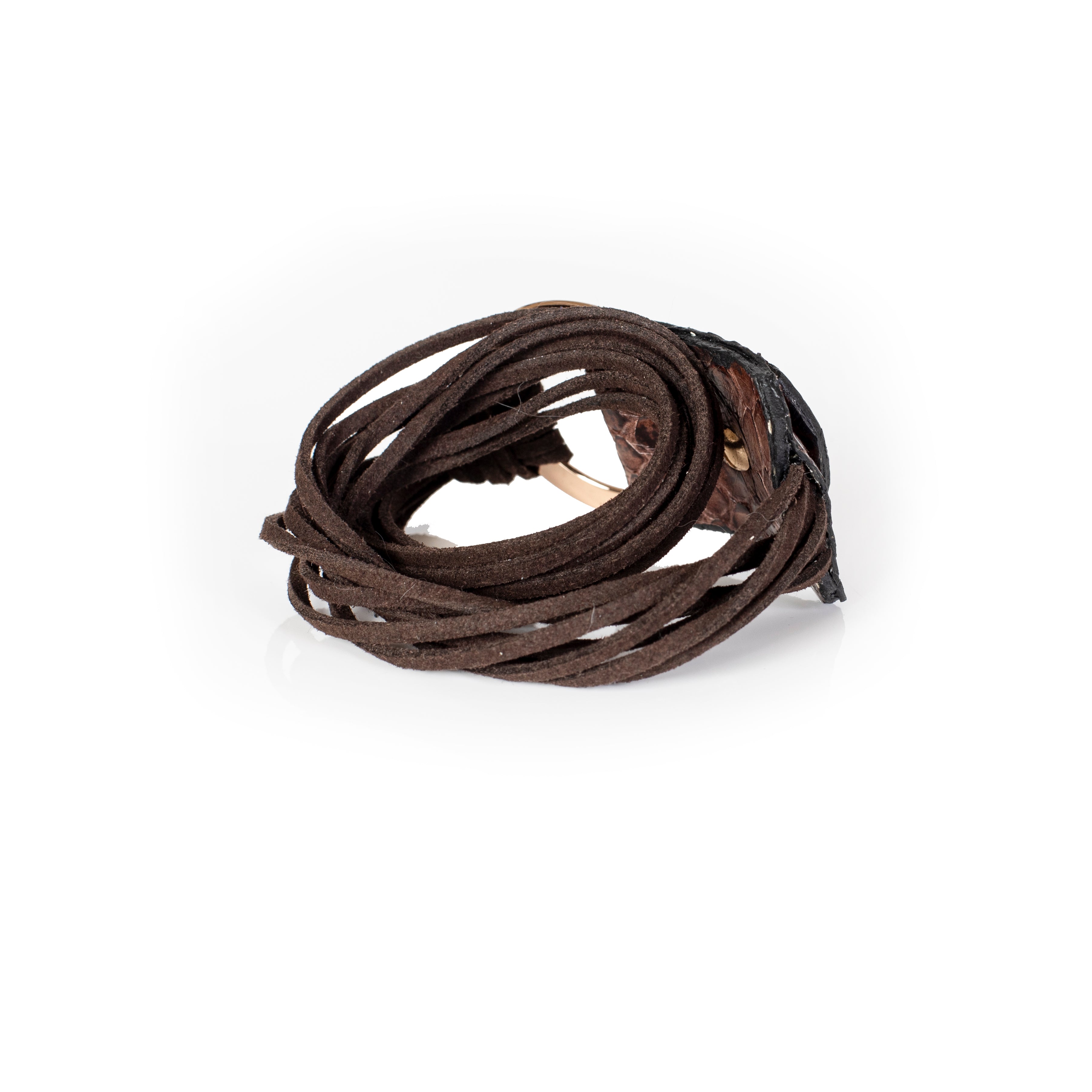 The Diligent Vigor - THE DARK