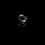 rings new The Loyal Poem